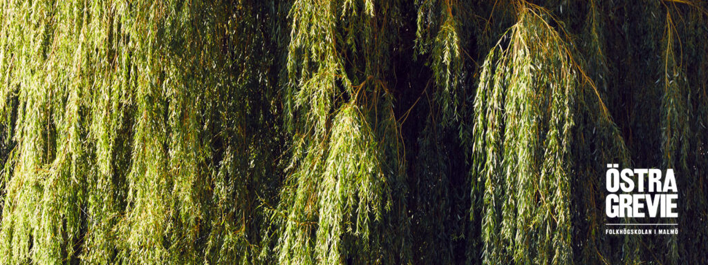 Banner - Östra Grevie folkhögskola i Malmö