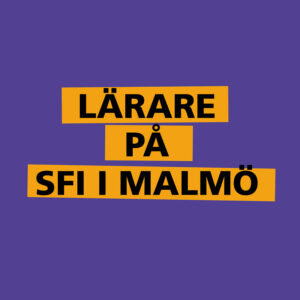 L&auml;rare p&aring; SFI i Malm&ouml;