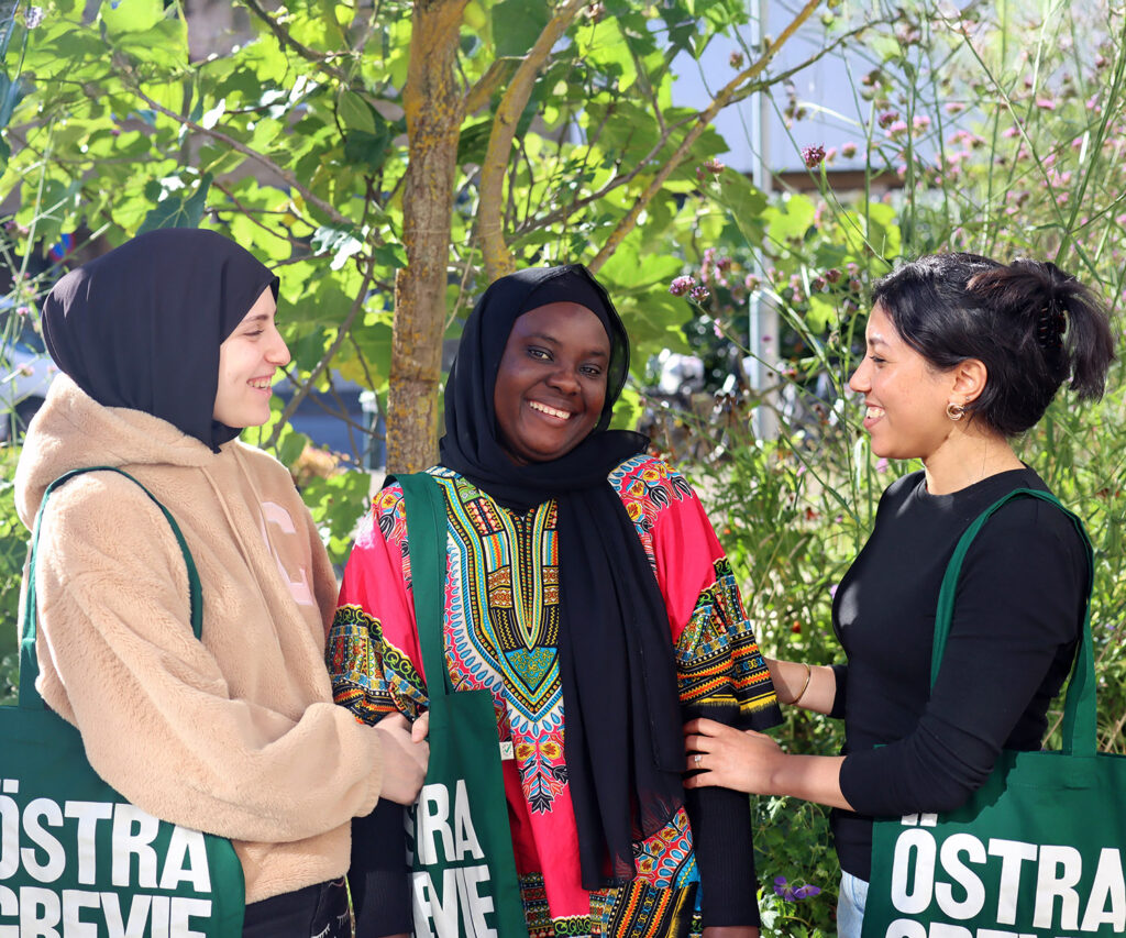 Östra Grevie Folkhögskola – SFI Malmö