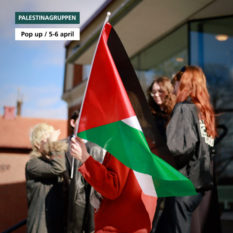 Gruppbild med kursdeltagare på folkhögskola som står upp för Palestina